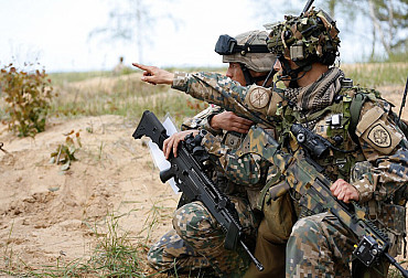 Defense Beyond National Borders: The Diaspora as a Source of Personnel