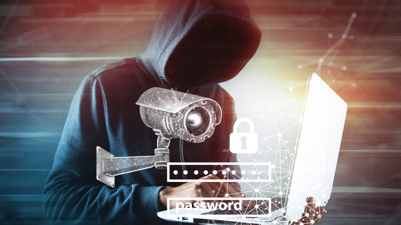 Vulnerabilities of Critical Infrastructure in the Czech Republic: Energy, IT, and National Defense